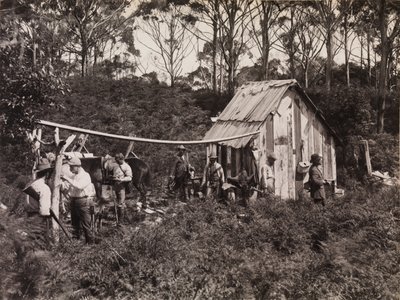 Capanna di Bertie, spedizione del Club dei Naturalisti a King Island da Archibald James Campbell